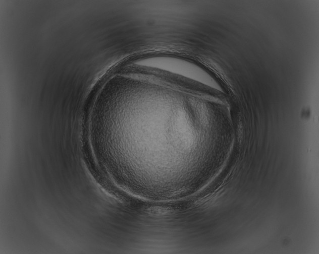 X0000091180444200708301219
