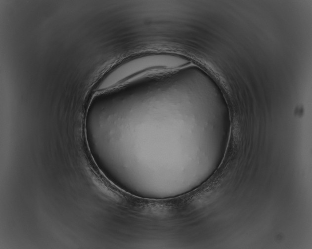 X0000091180445200708301219