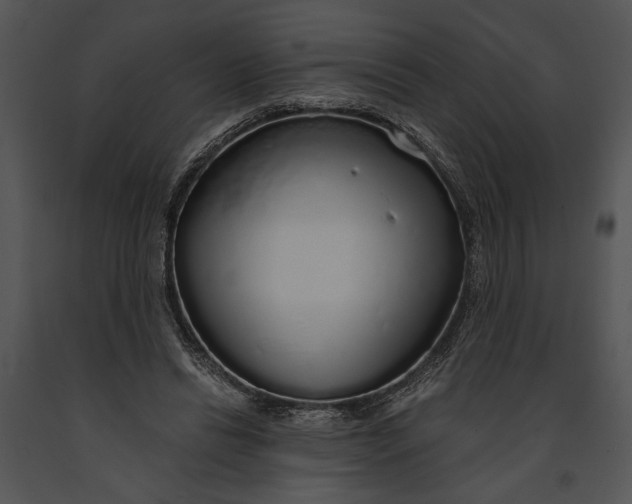 X0000091180446200708301219