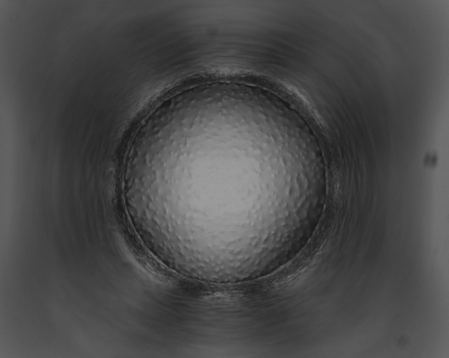 X0000091180447200708301219