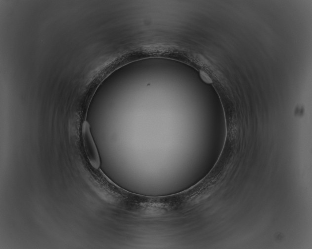 X0000091180448200708301219