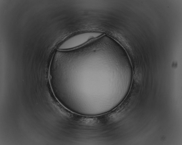 X0000091180449200708301219