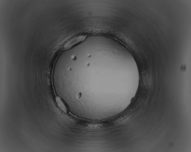 X0000091180450200708301219