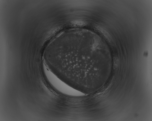 X0000091180451200708301219