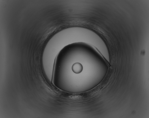 X0000091180452200708301219