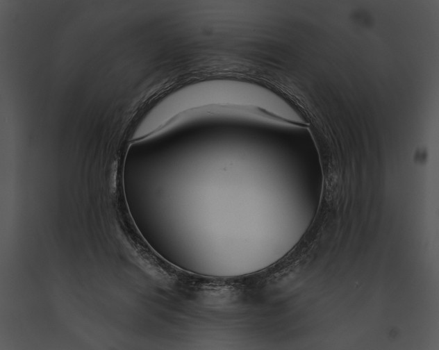 X0000091180454200708301219