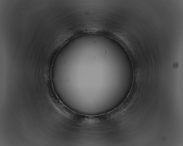 X0000091180455200708301219