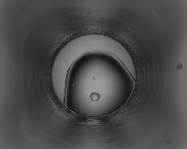 X0000091180456200708301219
