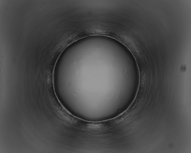 X0000091180457200708301220