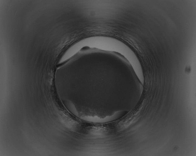 X0000091180458200708301220