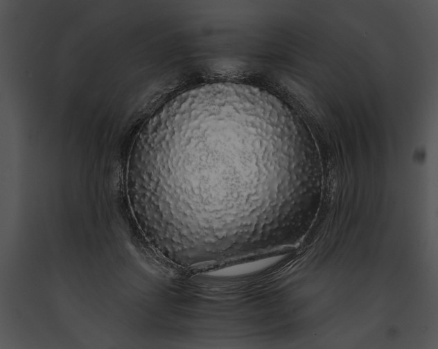 X0000091180459200708301220