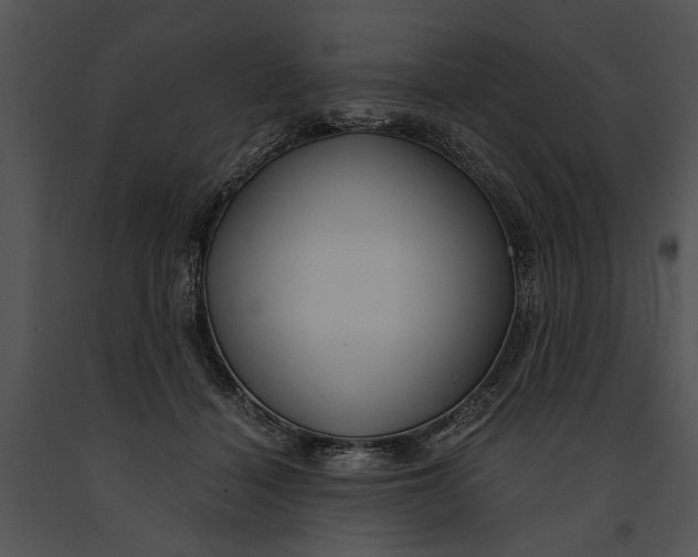 X0000091180460200708301220