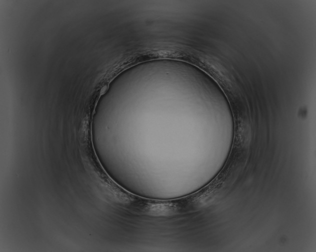 X0000091180461200708301220