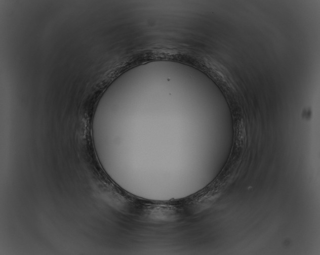 X0000091180463200708301220