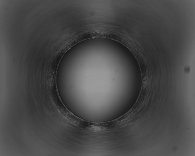 X0000091180464200708301220