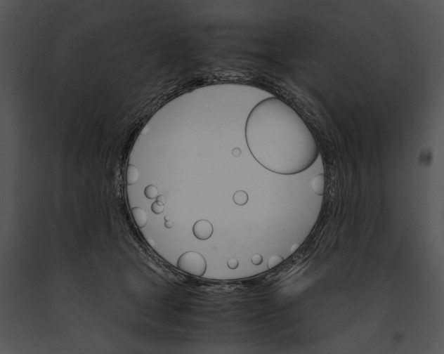 X0000091180465200708301220