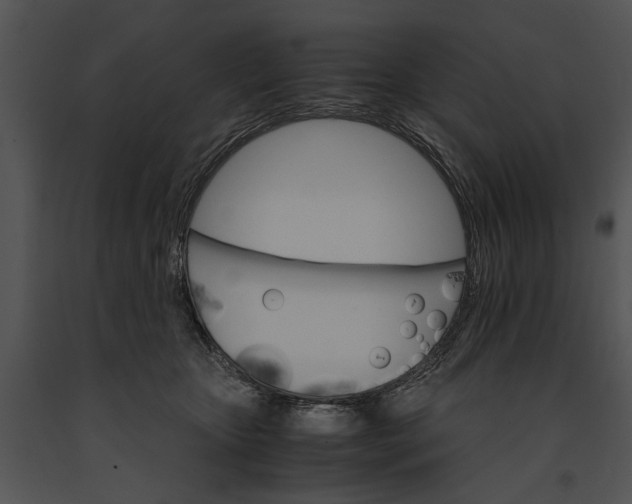 X0000091180467200708301220