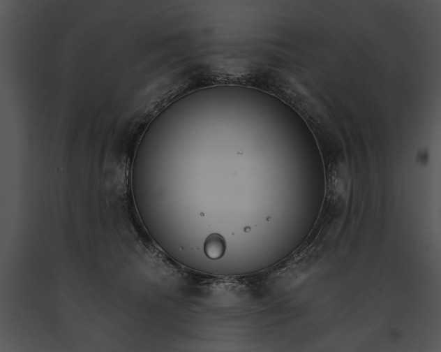 X0000091180468200708301220