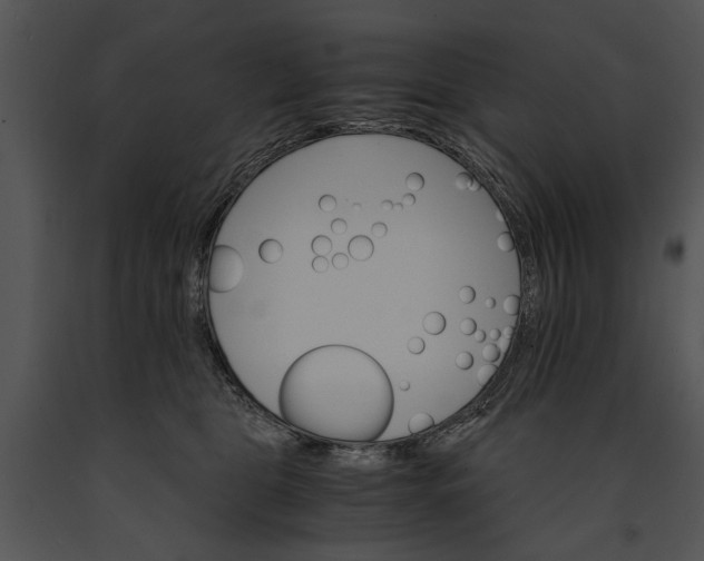 X0000091180469200708301220