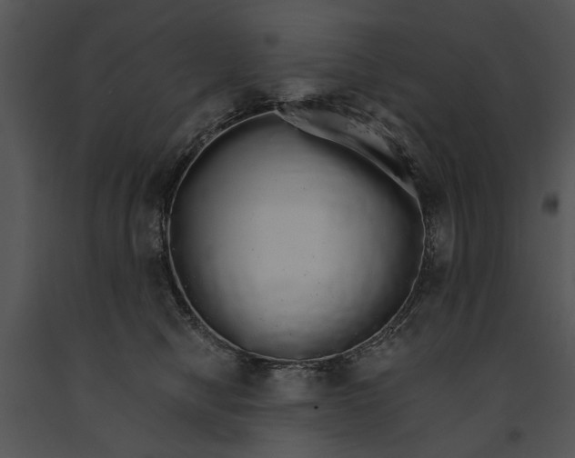 X0000091180470200708301220