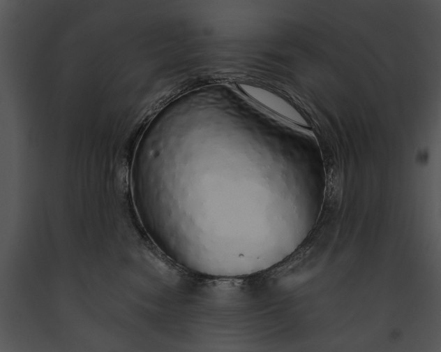 X0000091180474200708301220