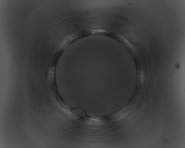 X0000091180475200708301220