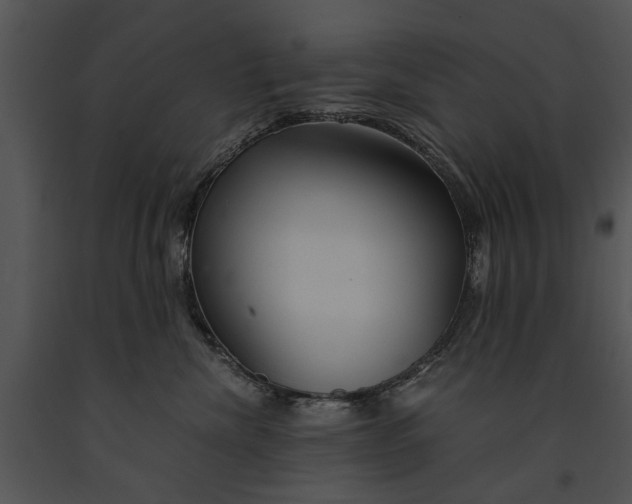 X0000091180476200708301220