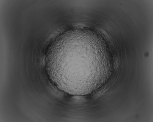 X0000091180477200708301220