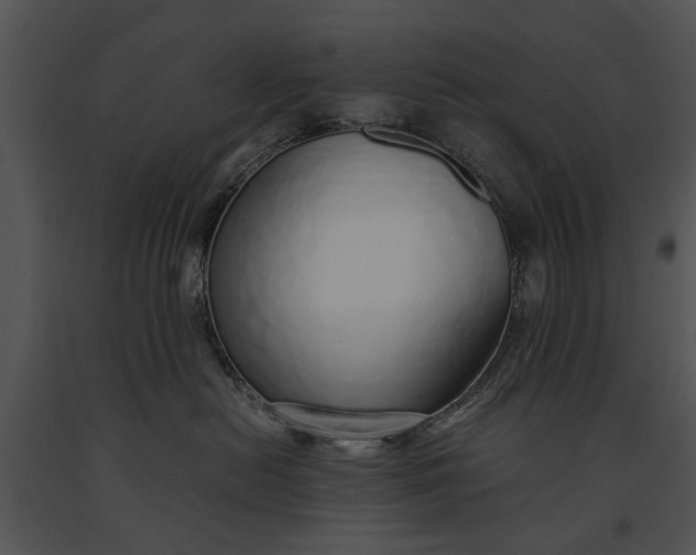 X0000091180478200708301220