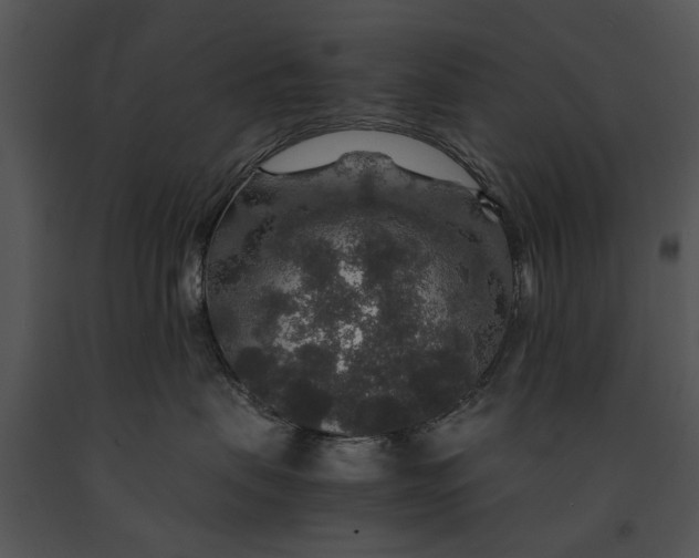 X0000091180479200708301220
