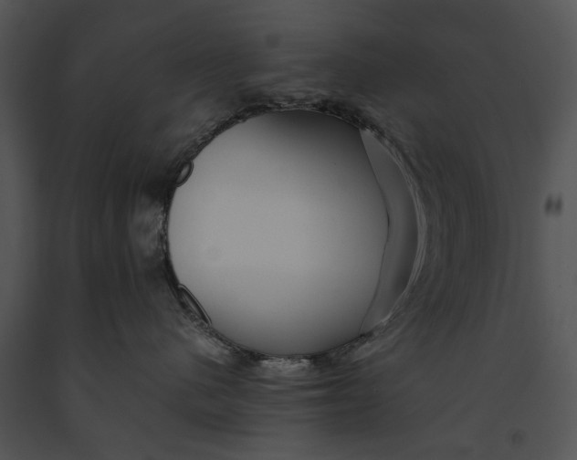 X0000091180480200708301220