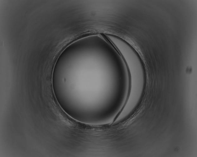 X0000091180481200708301219