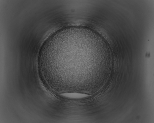 X0000091180482200708301219