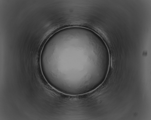 X0000091180483200708301219