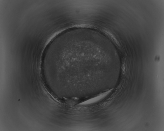 X0000091180484200708301219
