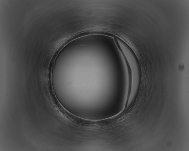 X0000091180485200708301219