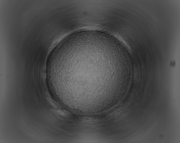 X0000091180486200708301219