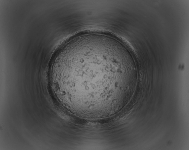 X0000091180487200708301219