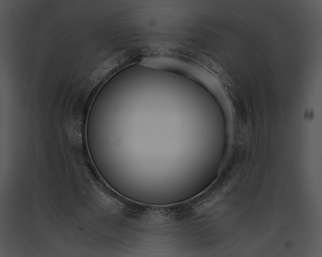 X0000091180489200708301219