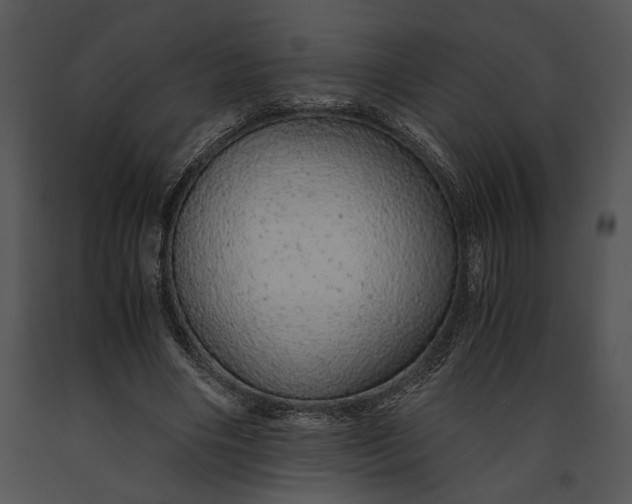 X0000091180490200708301219
