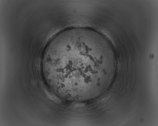 X0000091180491200708301219