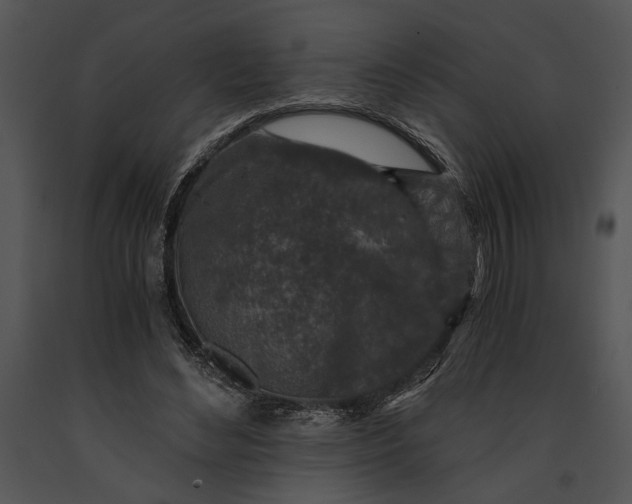 X0000091180492200708301219