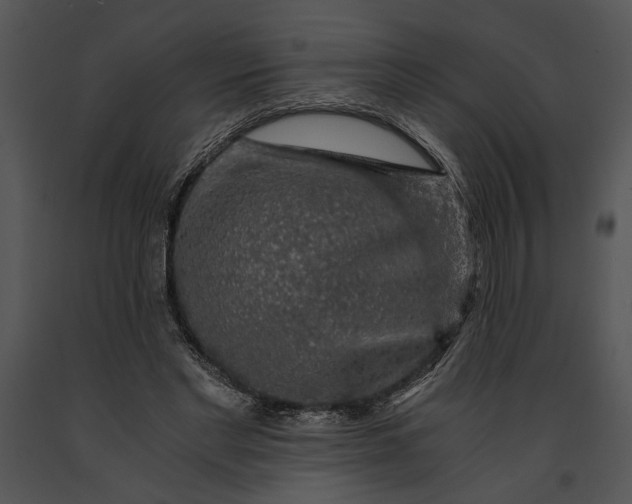 X0000091180493200708301219