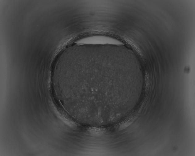 X0000091180494200708301219