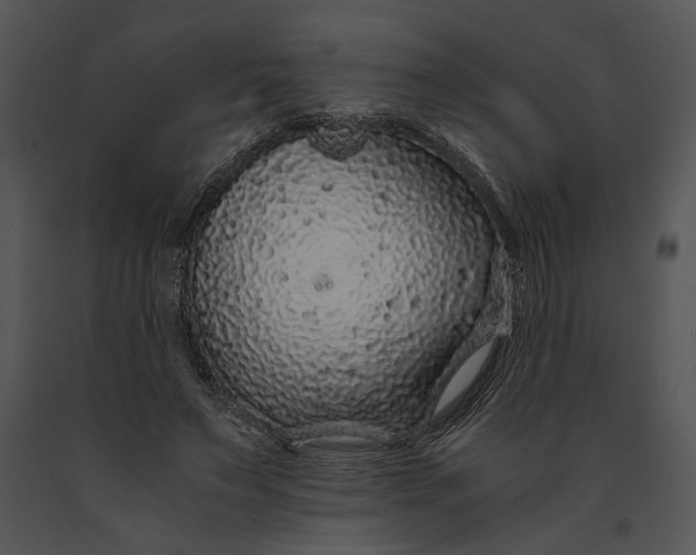 X0000091180495200708301219