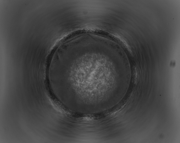X0000091180496200708301219