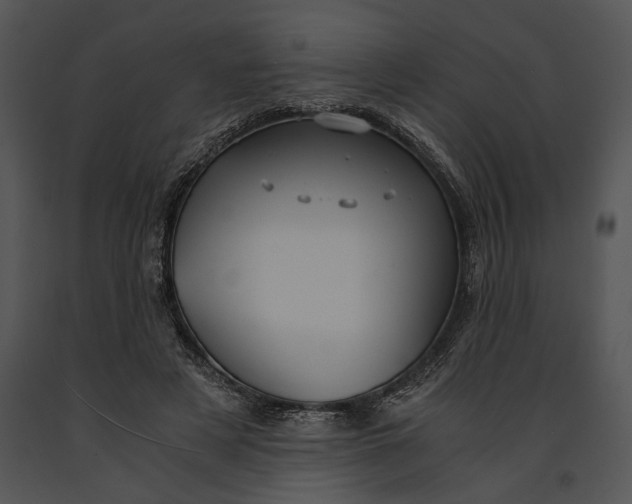X0000091180497200708301219