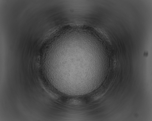X0000091180498200708301219