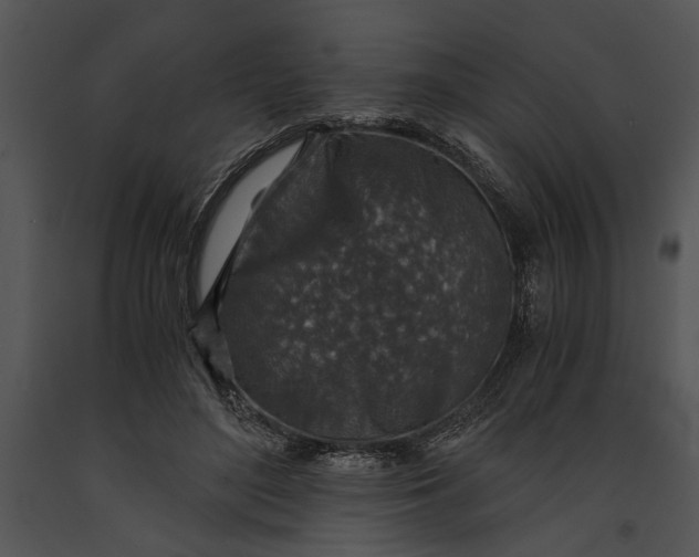 X0000091180500200708301219
