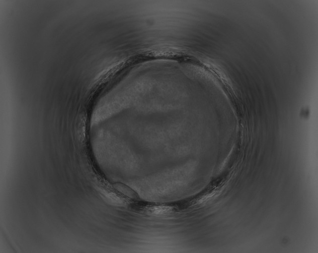 X0000091180501200708301219